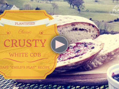 Classic Crusty White Cob